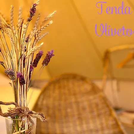 Stecado Glamping Hotel Dolceacqua Exterior photo